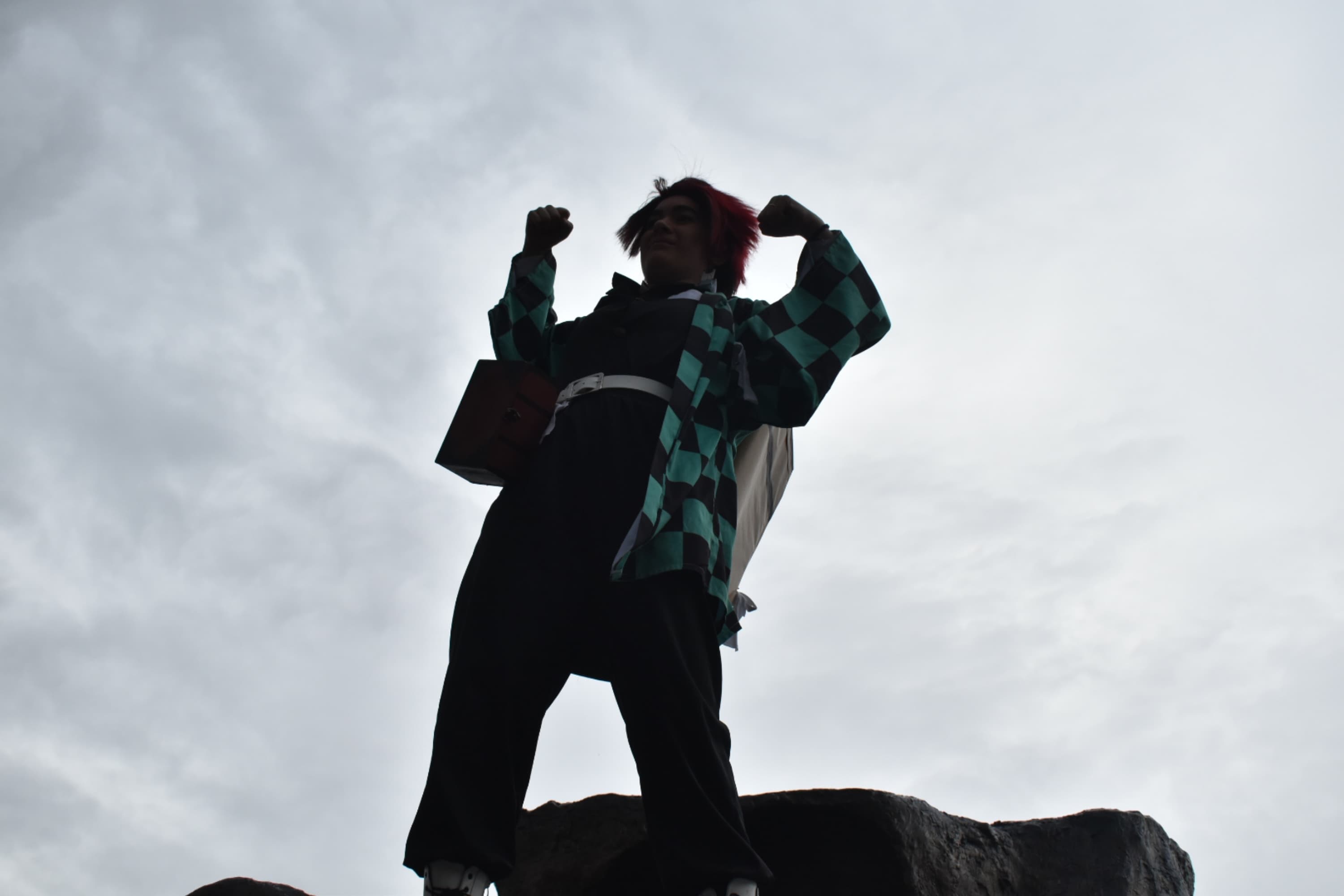 Tanjiro kamado  - Photo 10