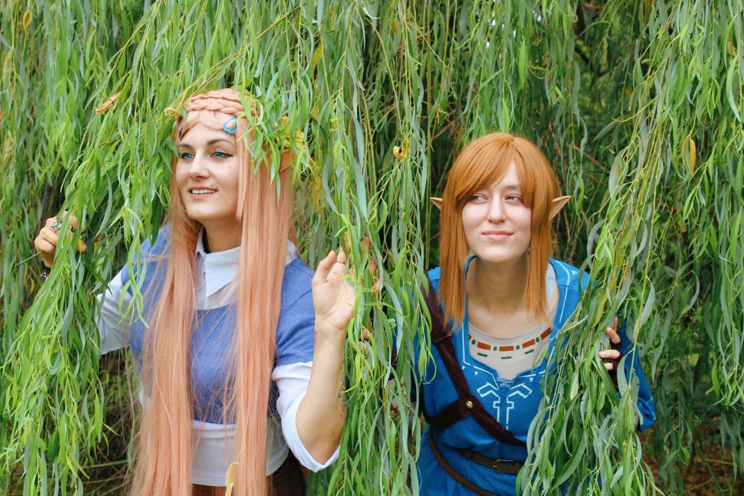 Link (Botw) - Photo 23