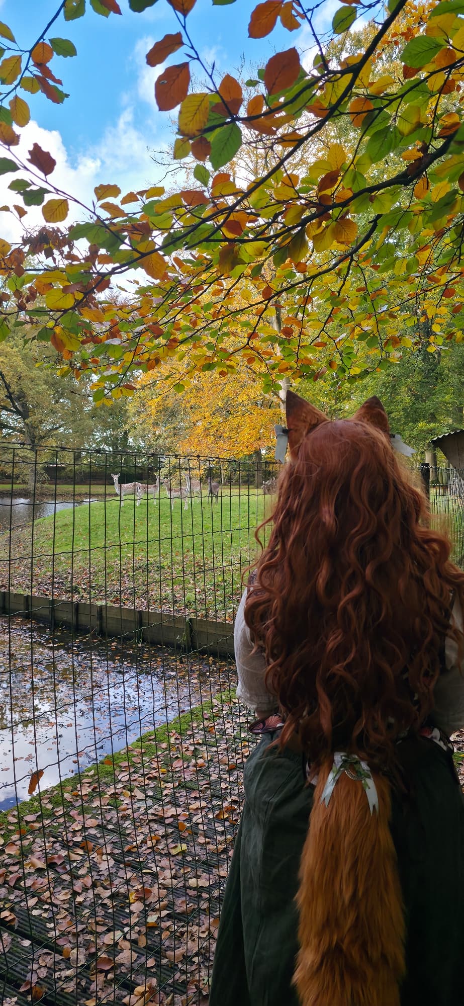 Fall shoot 2025 - Photo 6