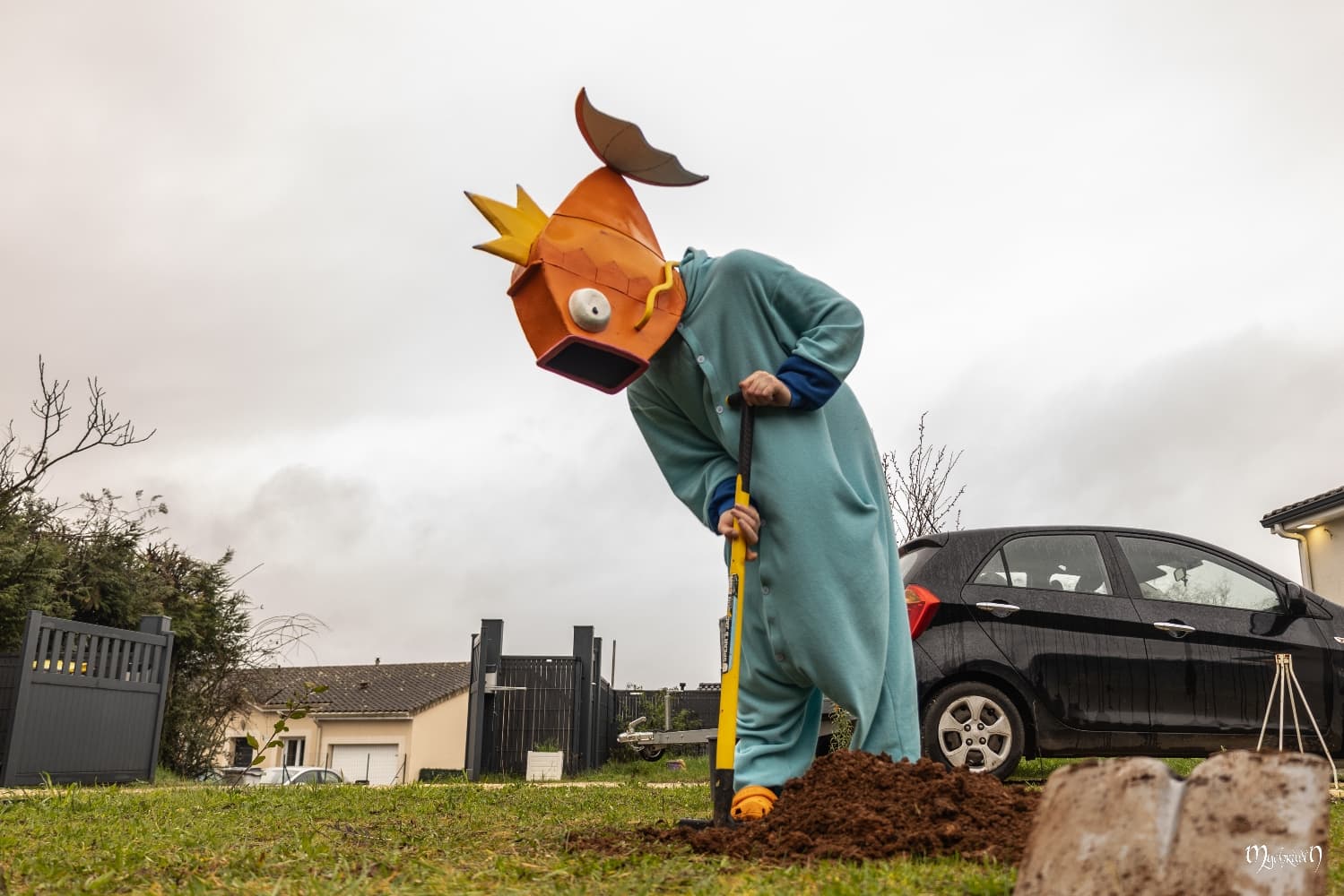 La plantation  - Photo 5