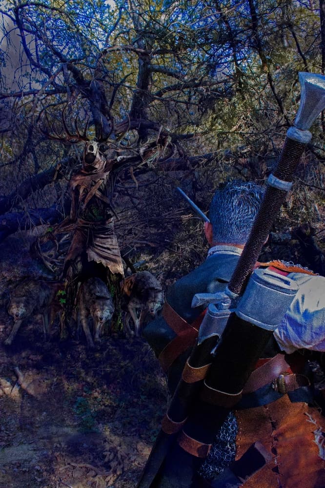 Geralt De Riv  - Photo 9