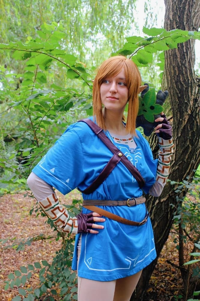 Link (Botw) - Photo 10