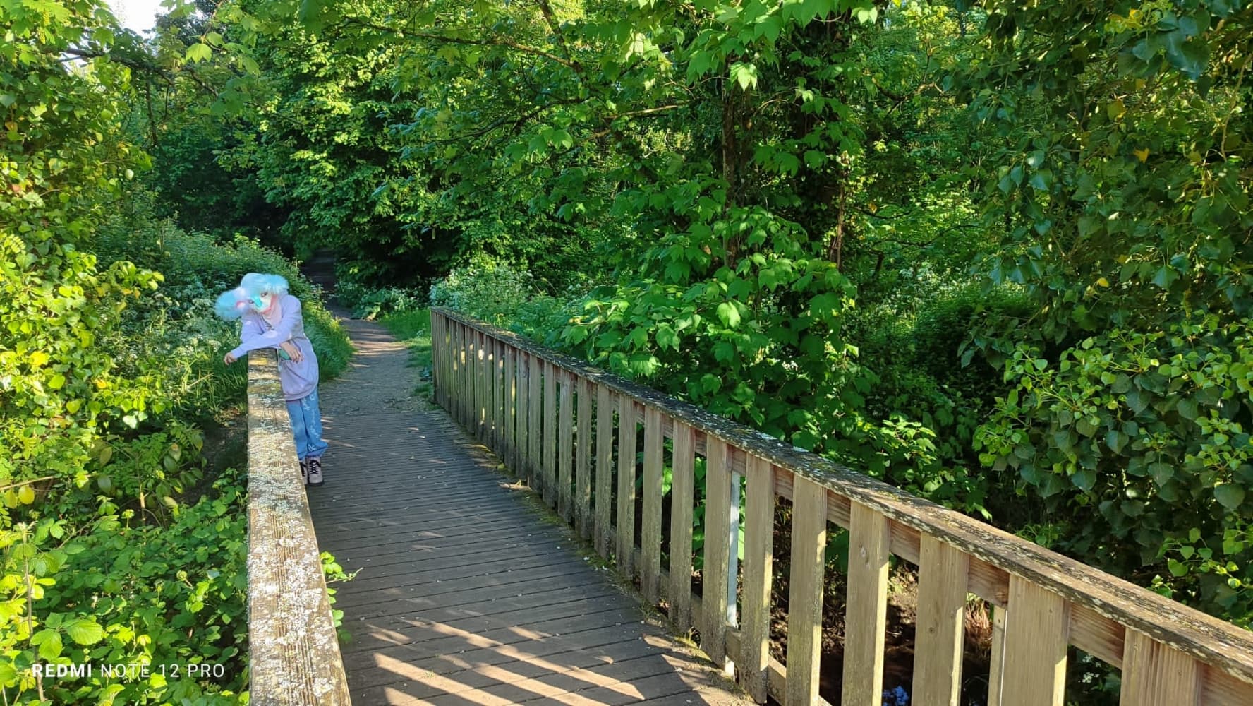 Debut du printemps  - Photo 33