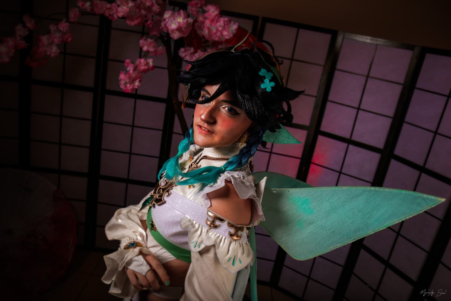 Venti (Elf) - Photo 2