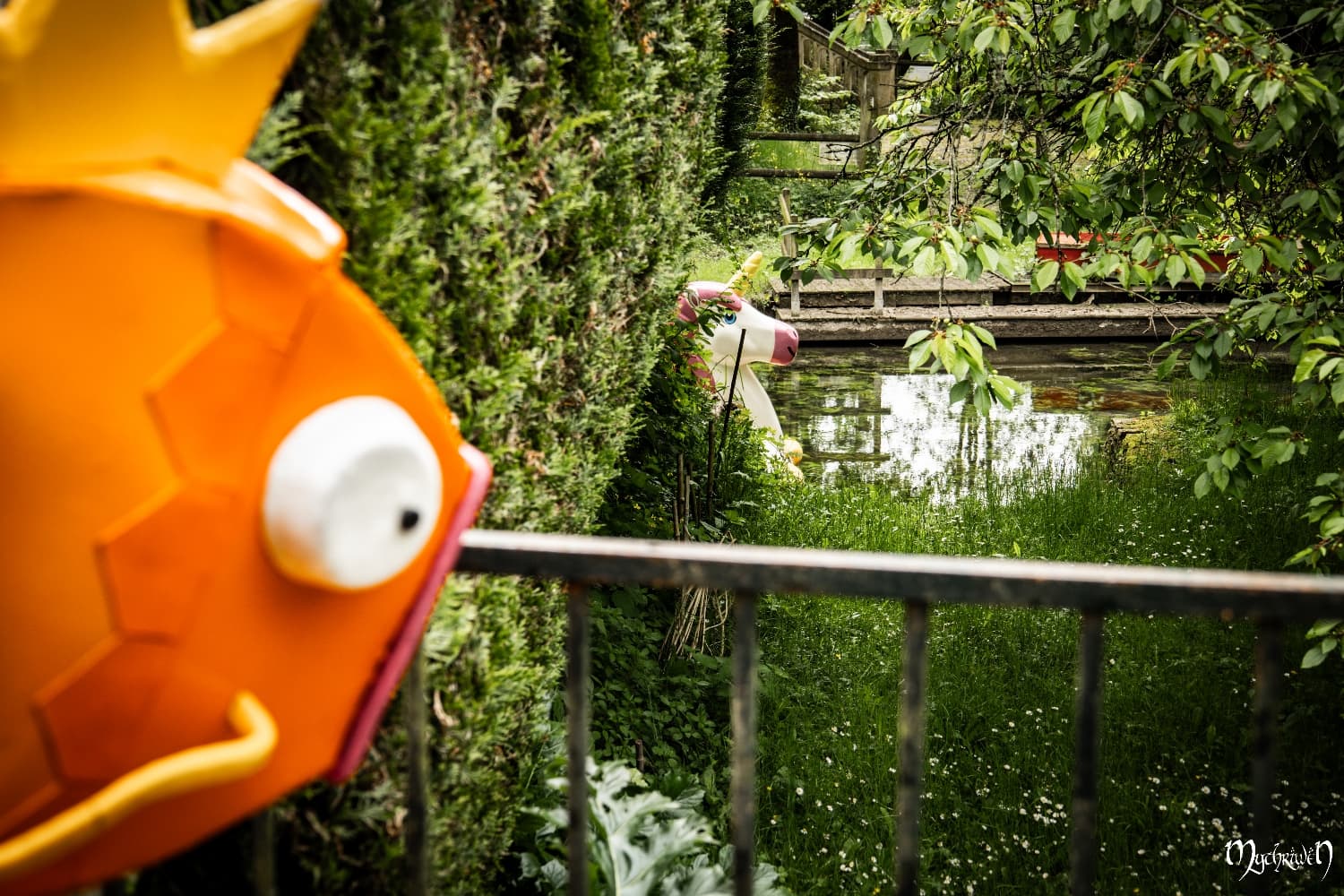 Ballade à Poitiers  - Photo 4