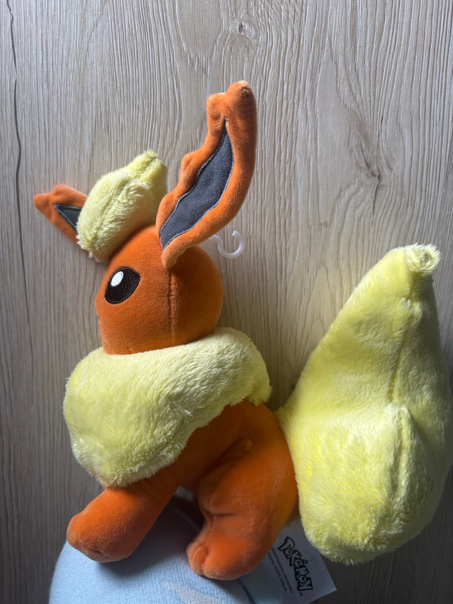 Evoli en Pyroli  - Photo 8