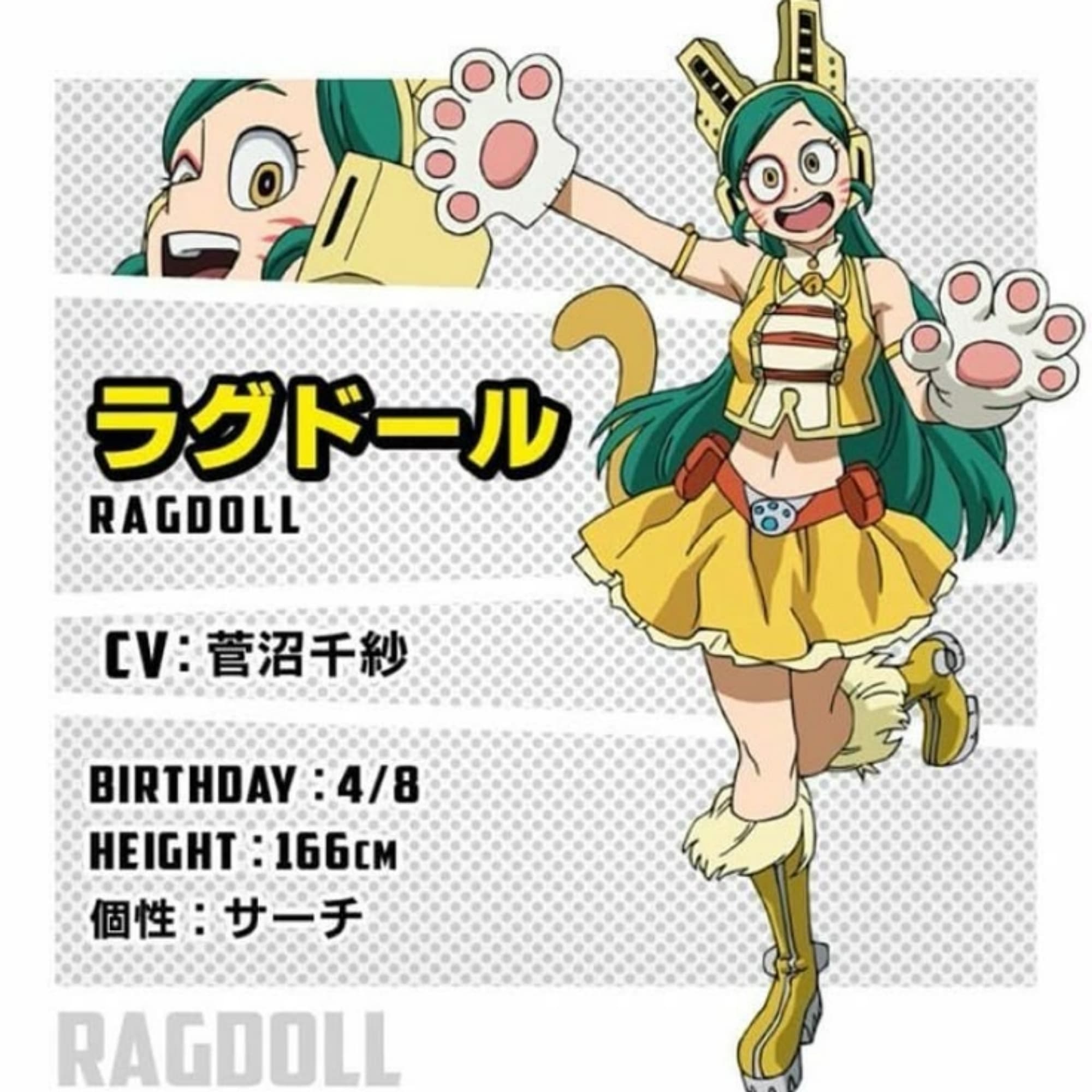 Ragdoll