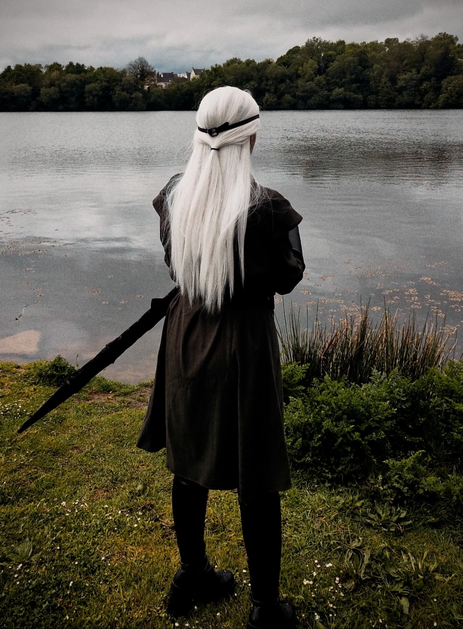 Aemond Regent - Photo 85