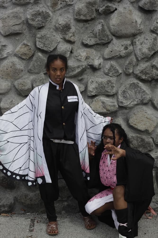 Shinobu et nezuko - Photo 2