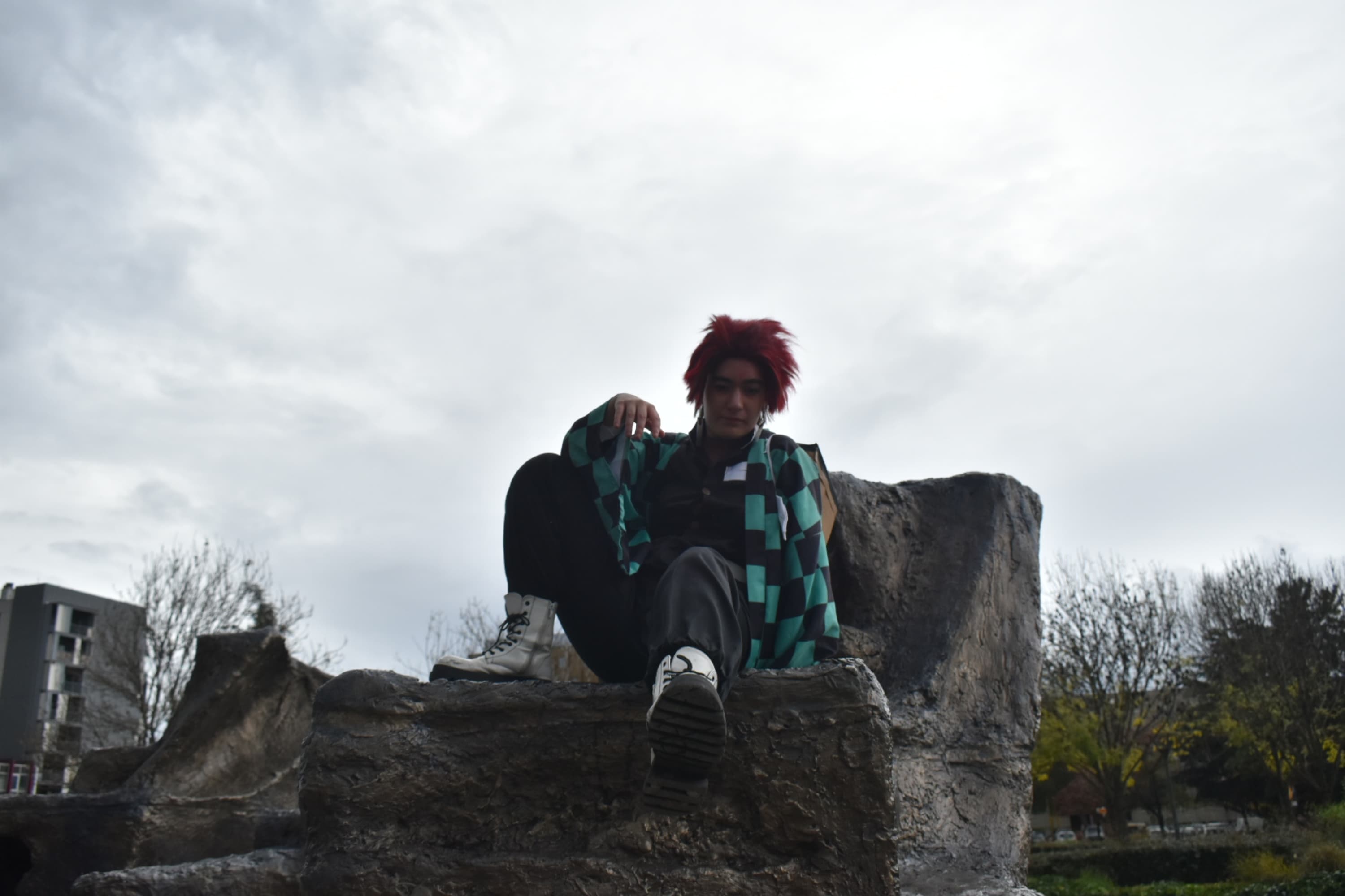 Tanjiro kamado  - Photo 8