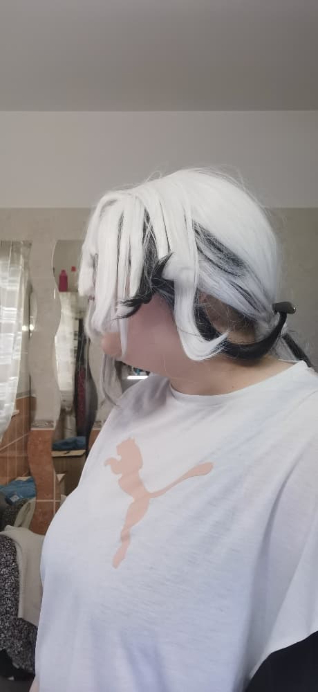 Wig terminé 