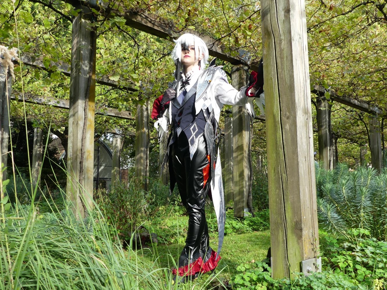 Arlecchino - Photo 10