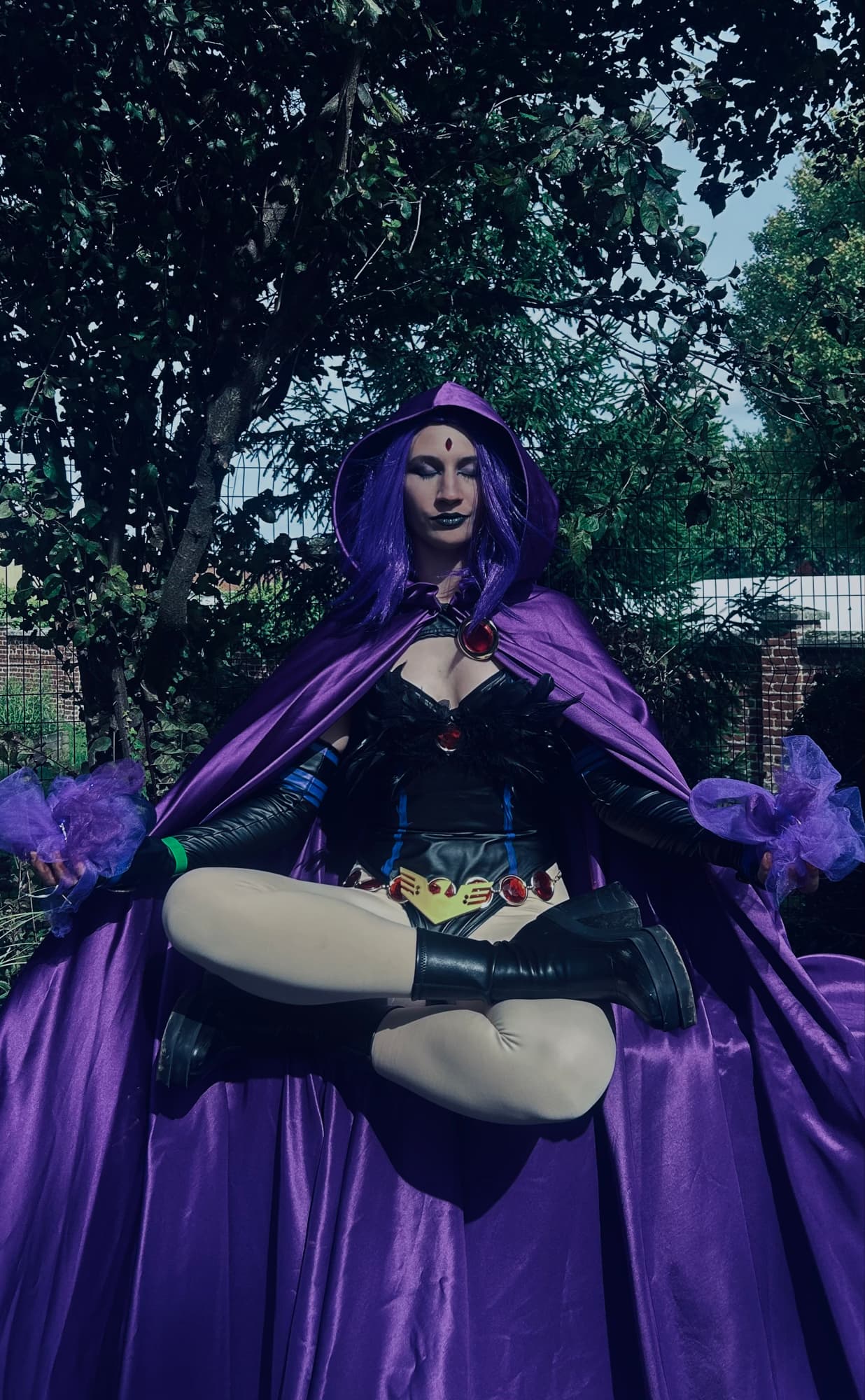 Raven - Photo 4