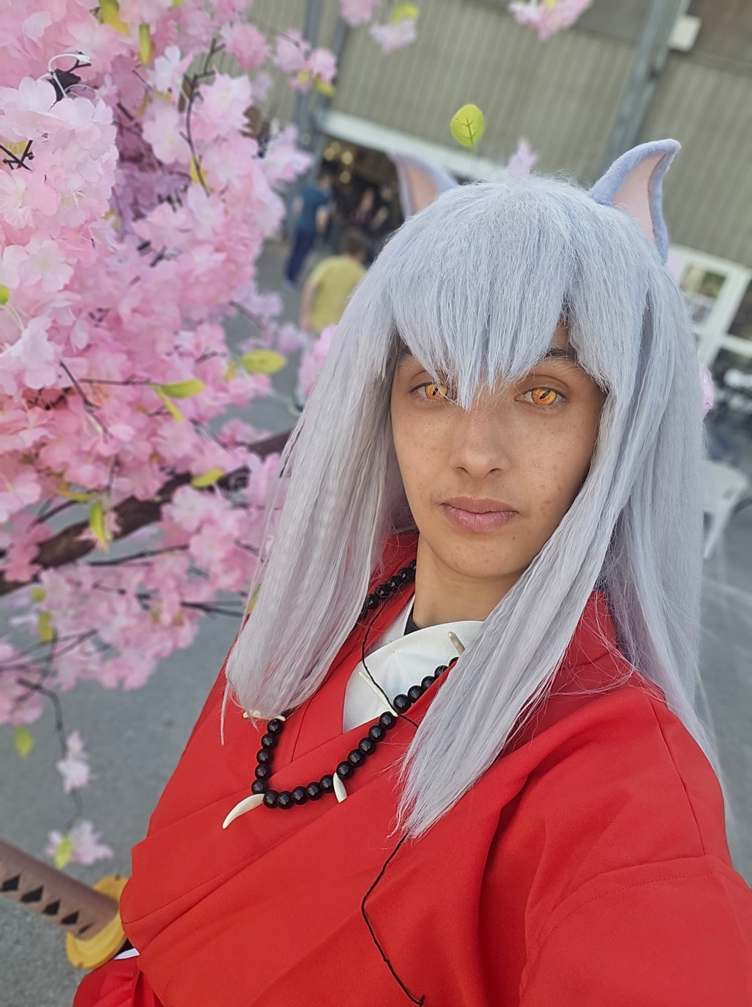 Inuyasha  - Photo 80