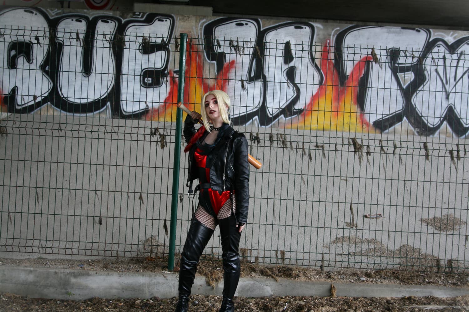 Harley Quinn - Photo 3