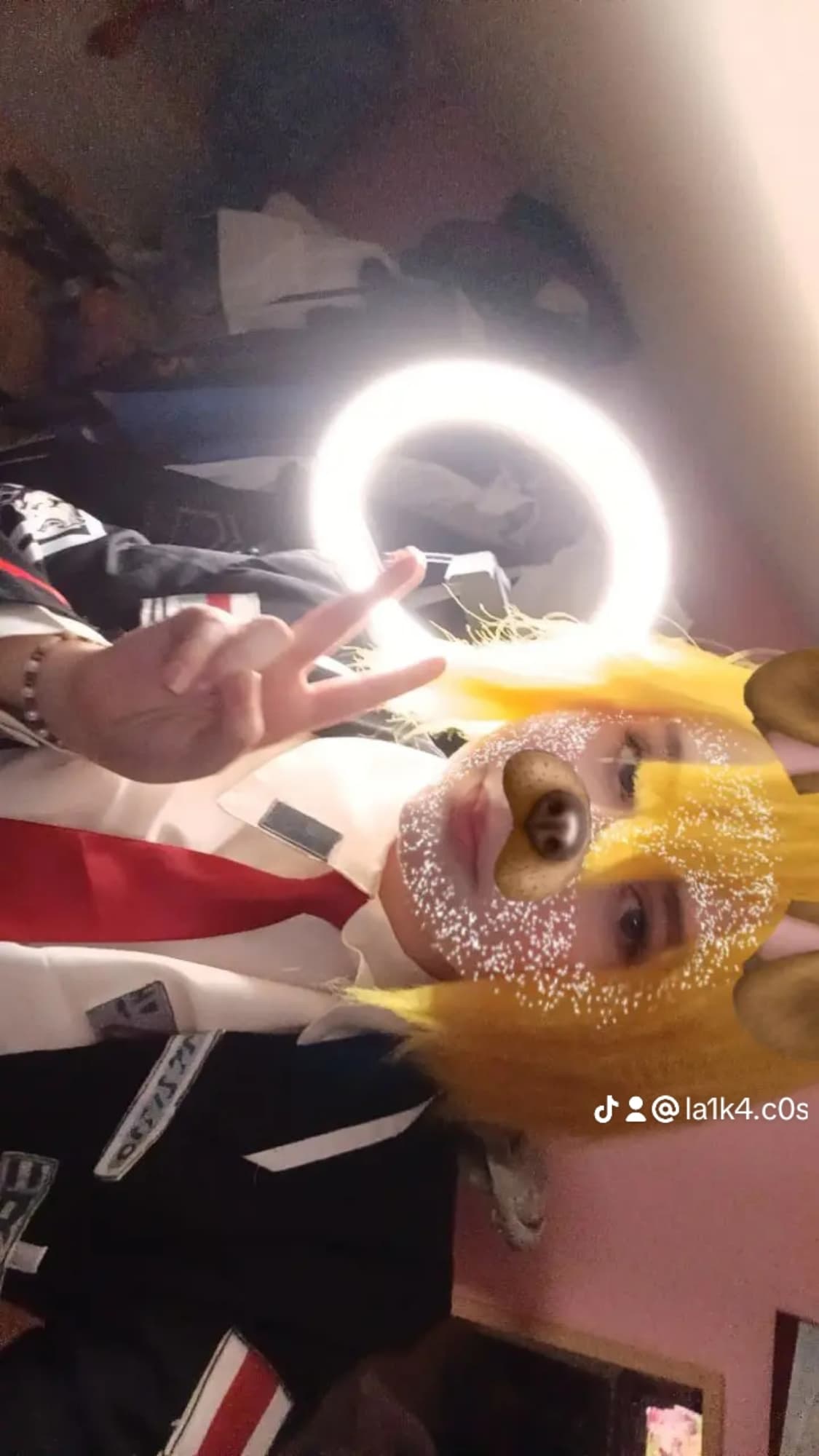 Don quixote  - Photo 2