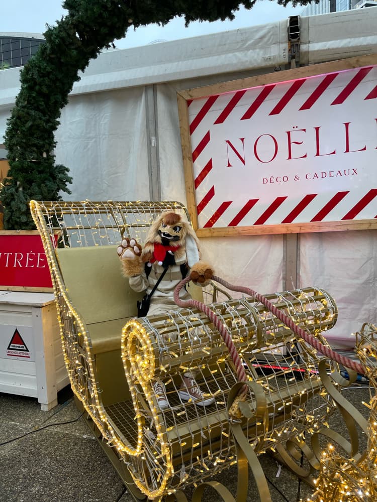 Photos Tapioca - Photo 10