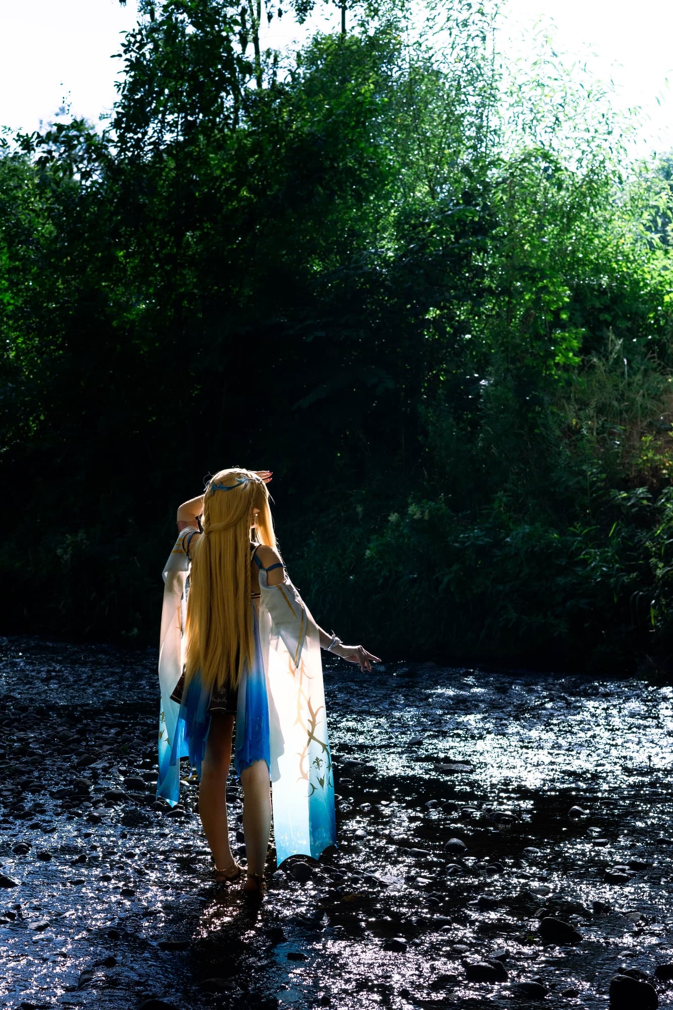 Cartethyia  - Photo 6