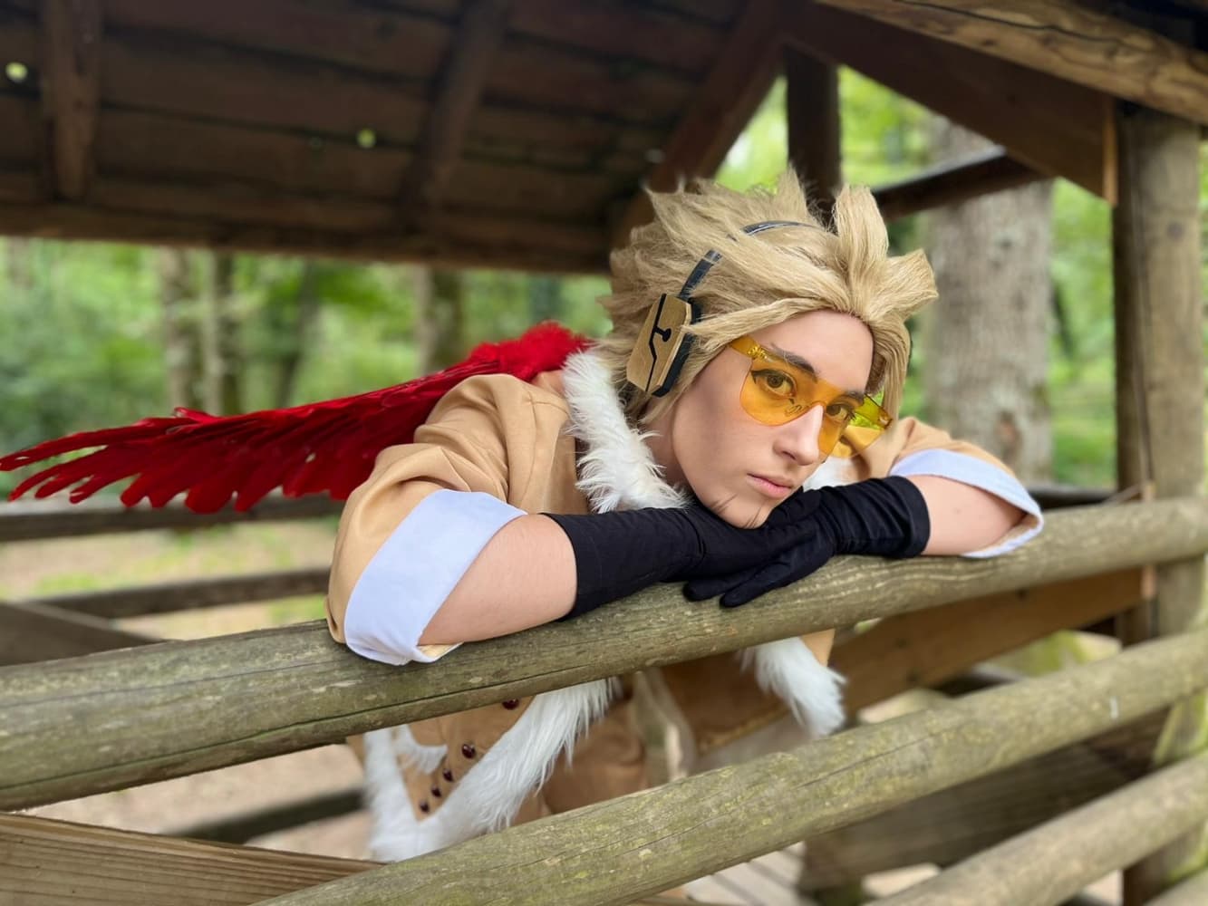 🪶Hawks🪶 - Photo 1