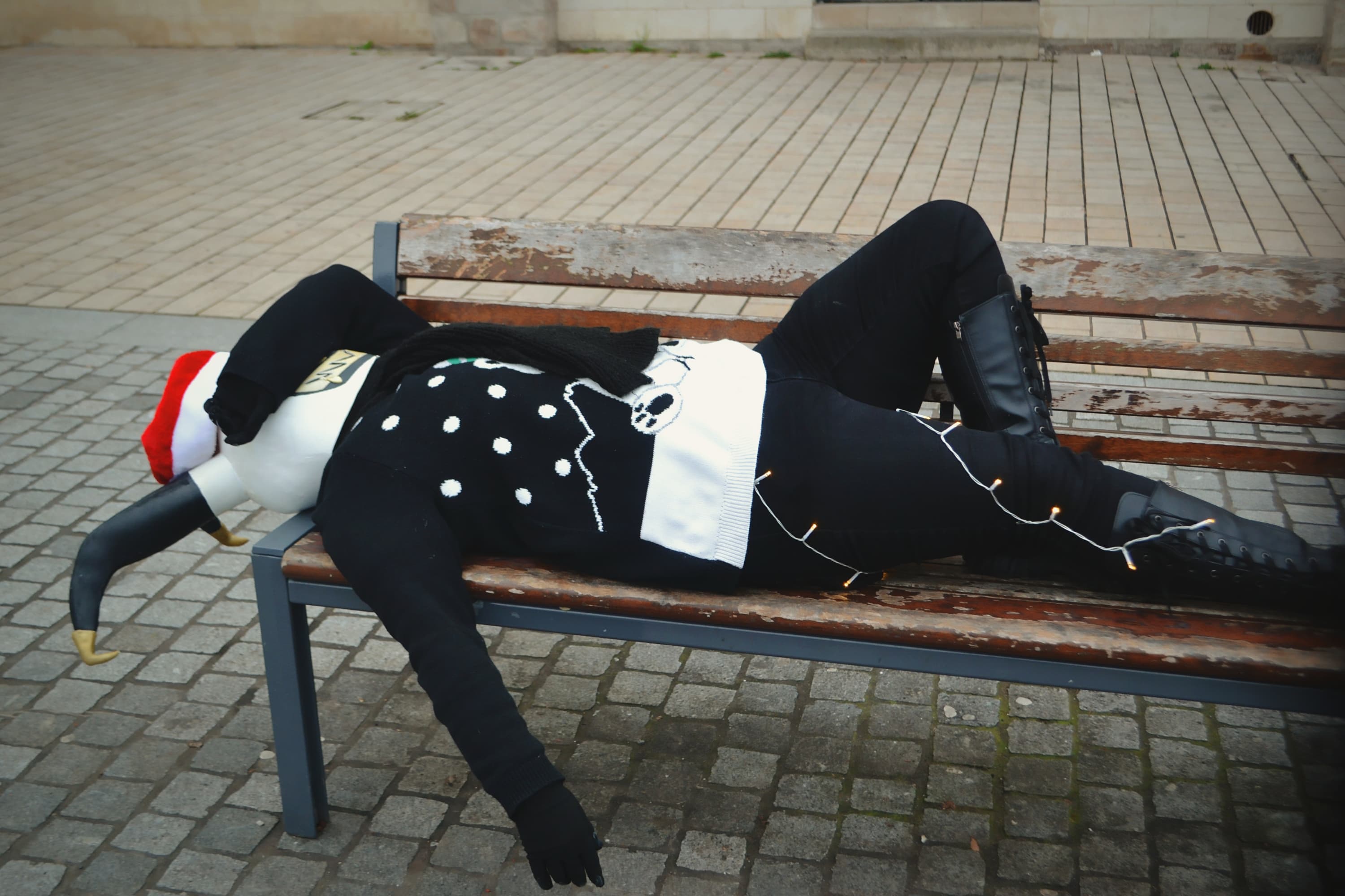 Adam d'hiver - Photo 17