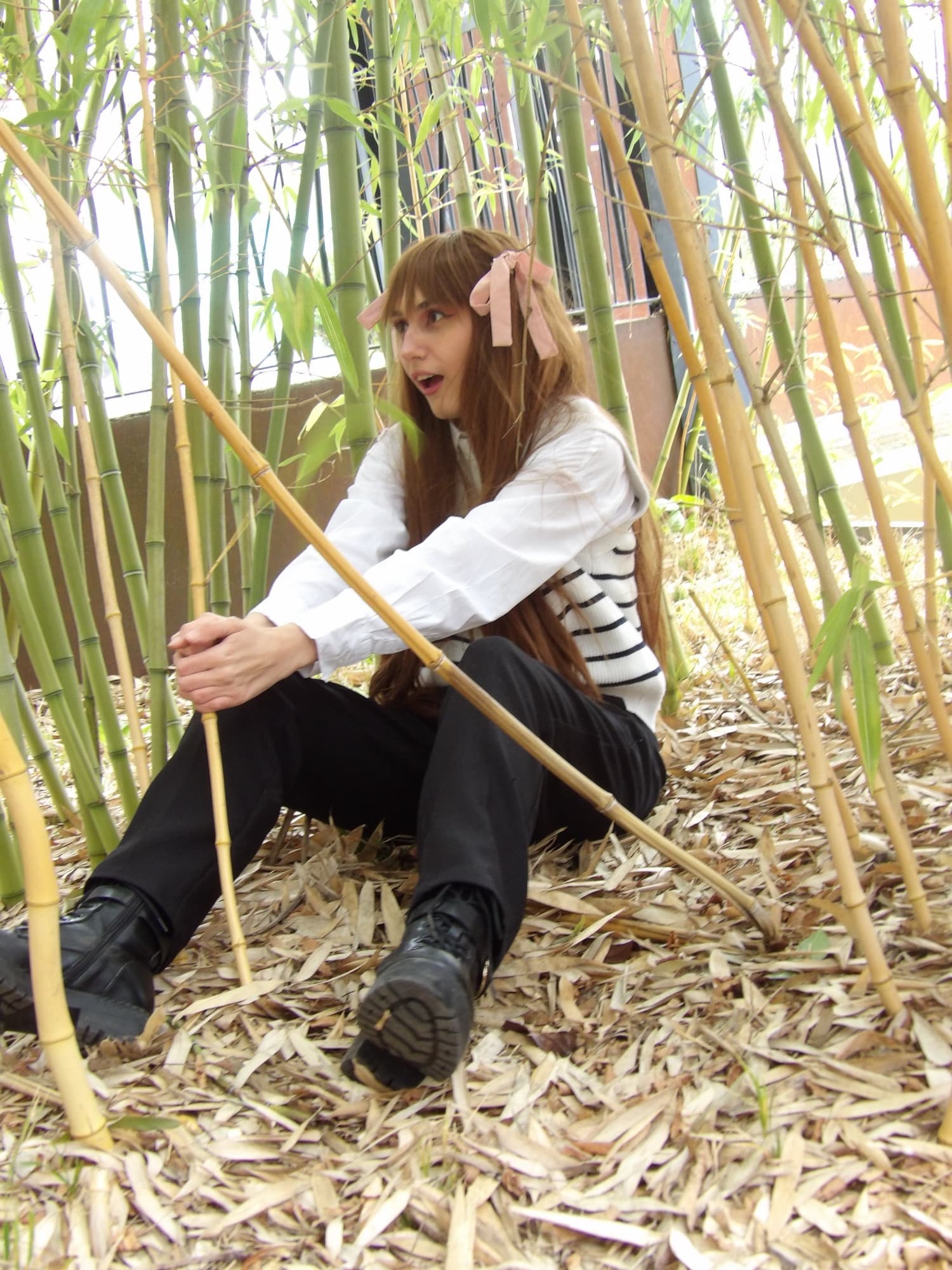 Tohru Honda  - Photo 23