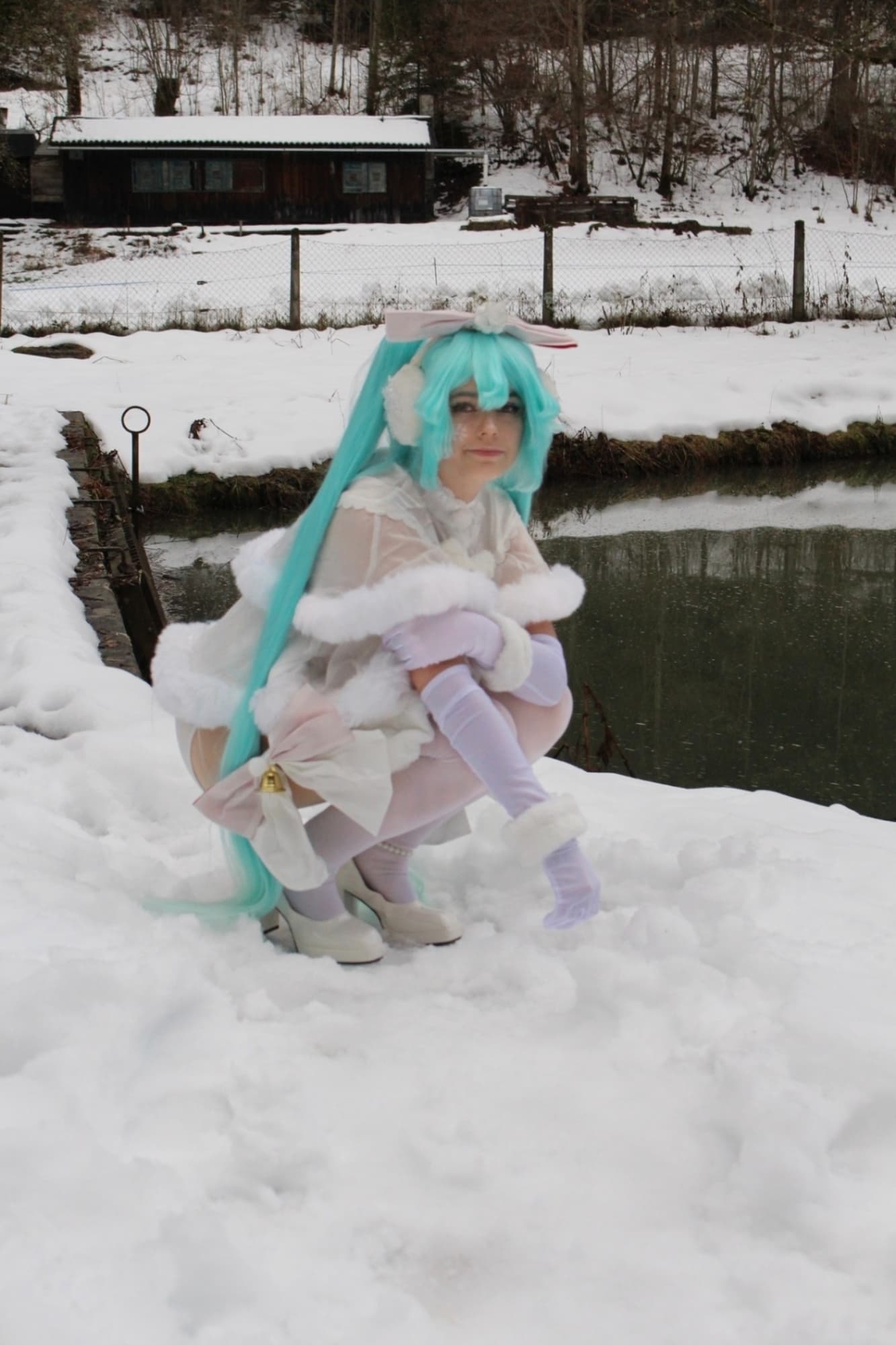 Snow miku - Photo 4