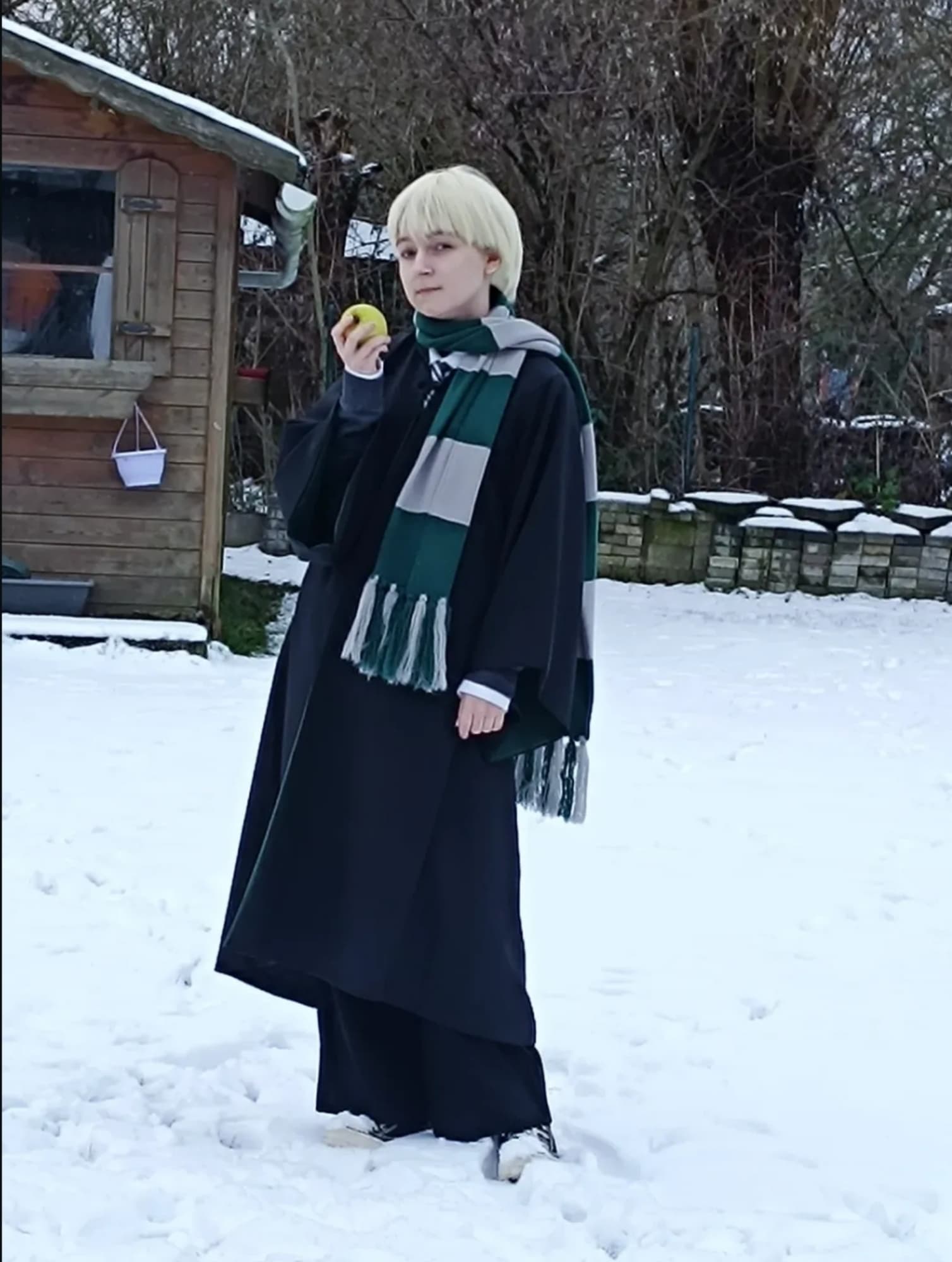 Draco malfoy 