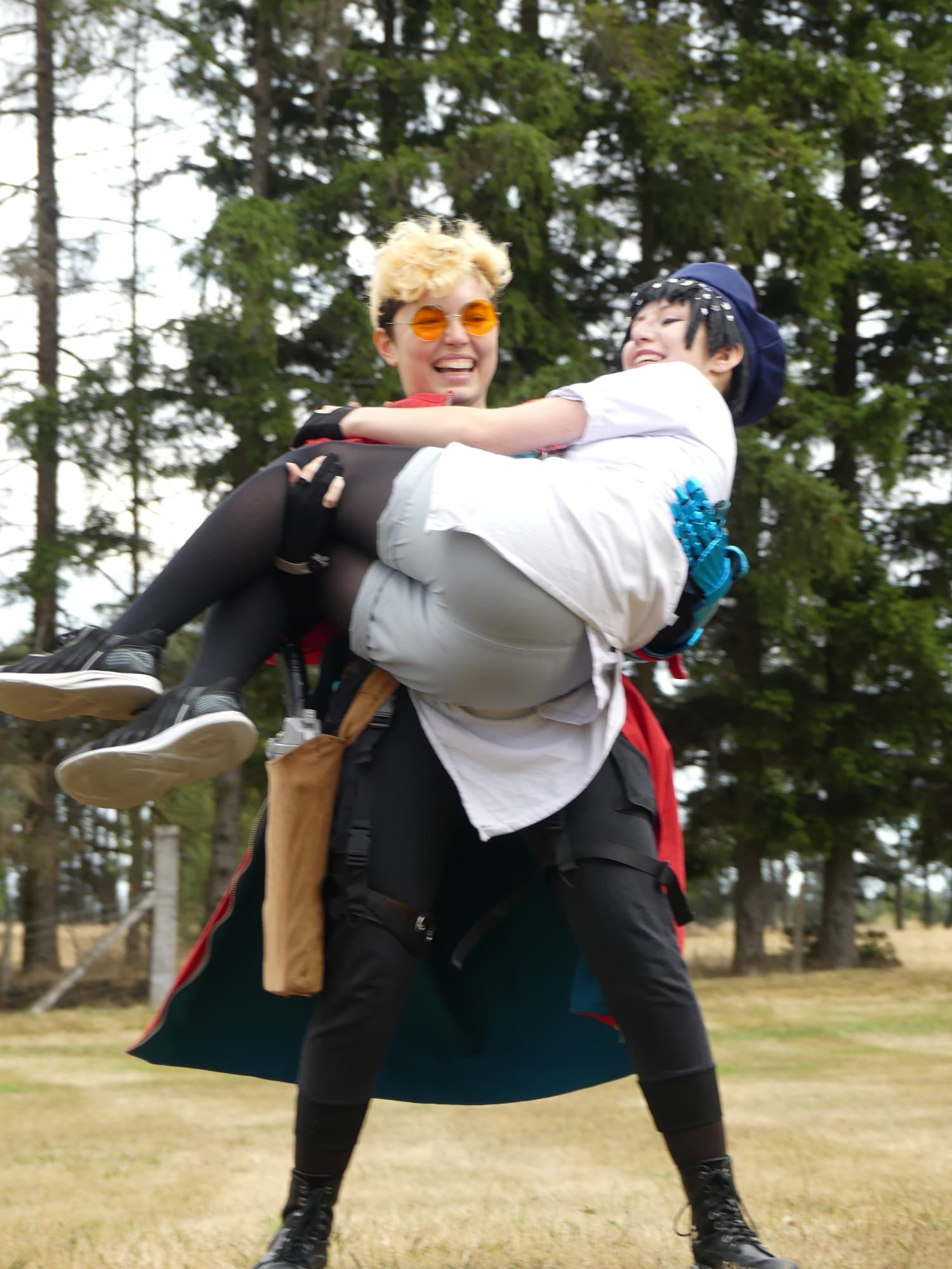 Gevaudan pop culture - Photo 6