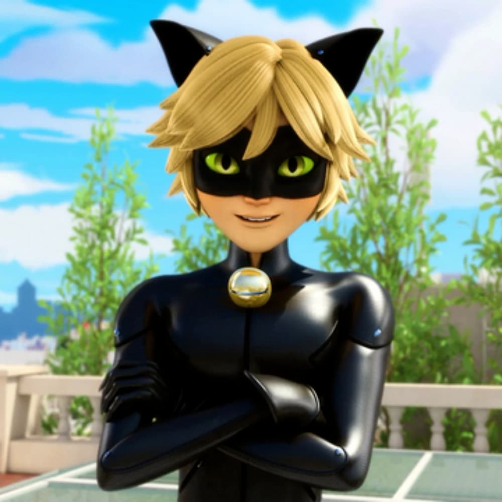 Chat noir 