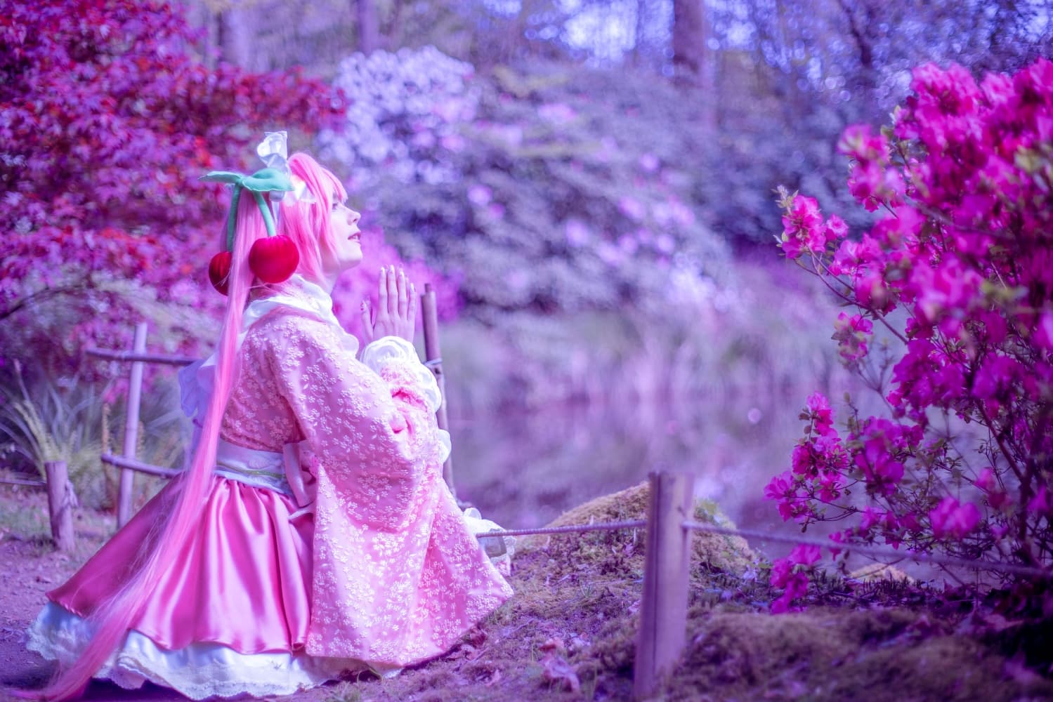 Sakura Miku -Hanami- - Photo 8