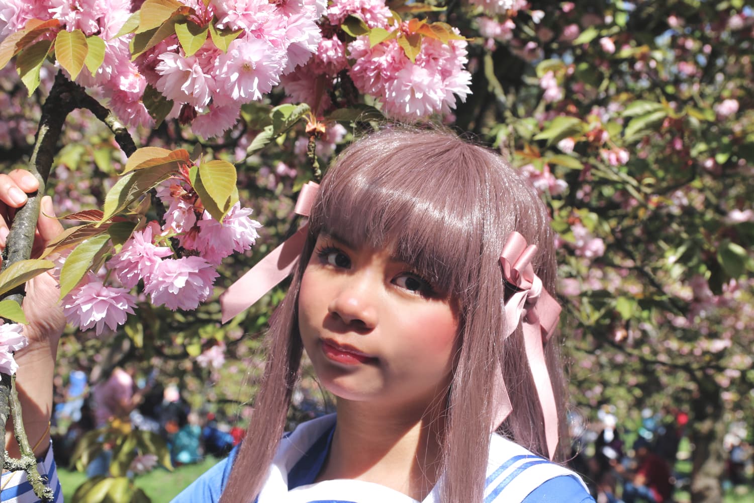 Tohru Honda - Photo 3