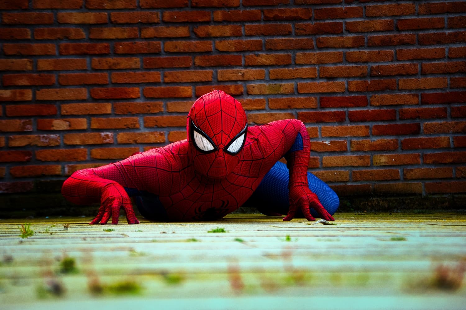 Spidey & Capt Marvel - Photo 6