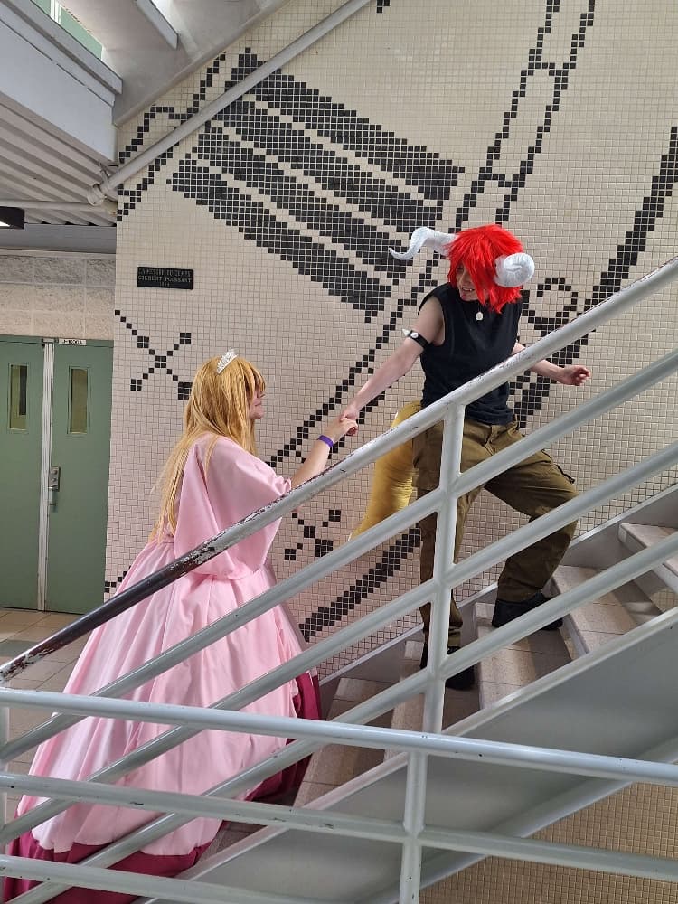 Bowser/Peach - Photo 4