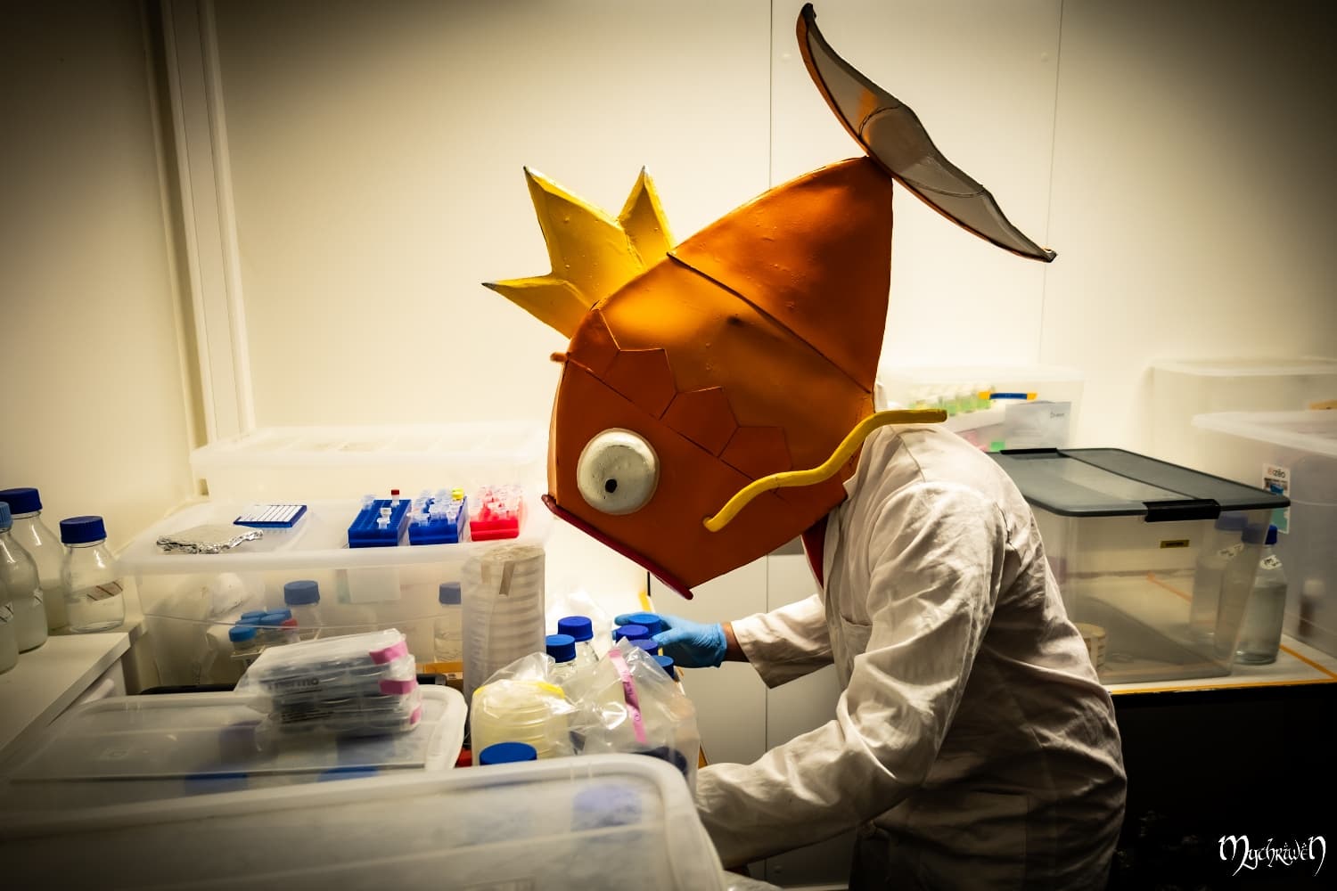Professor Magicarpe  - Photo 9