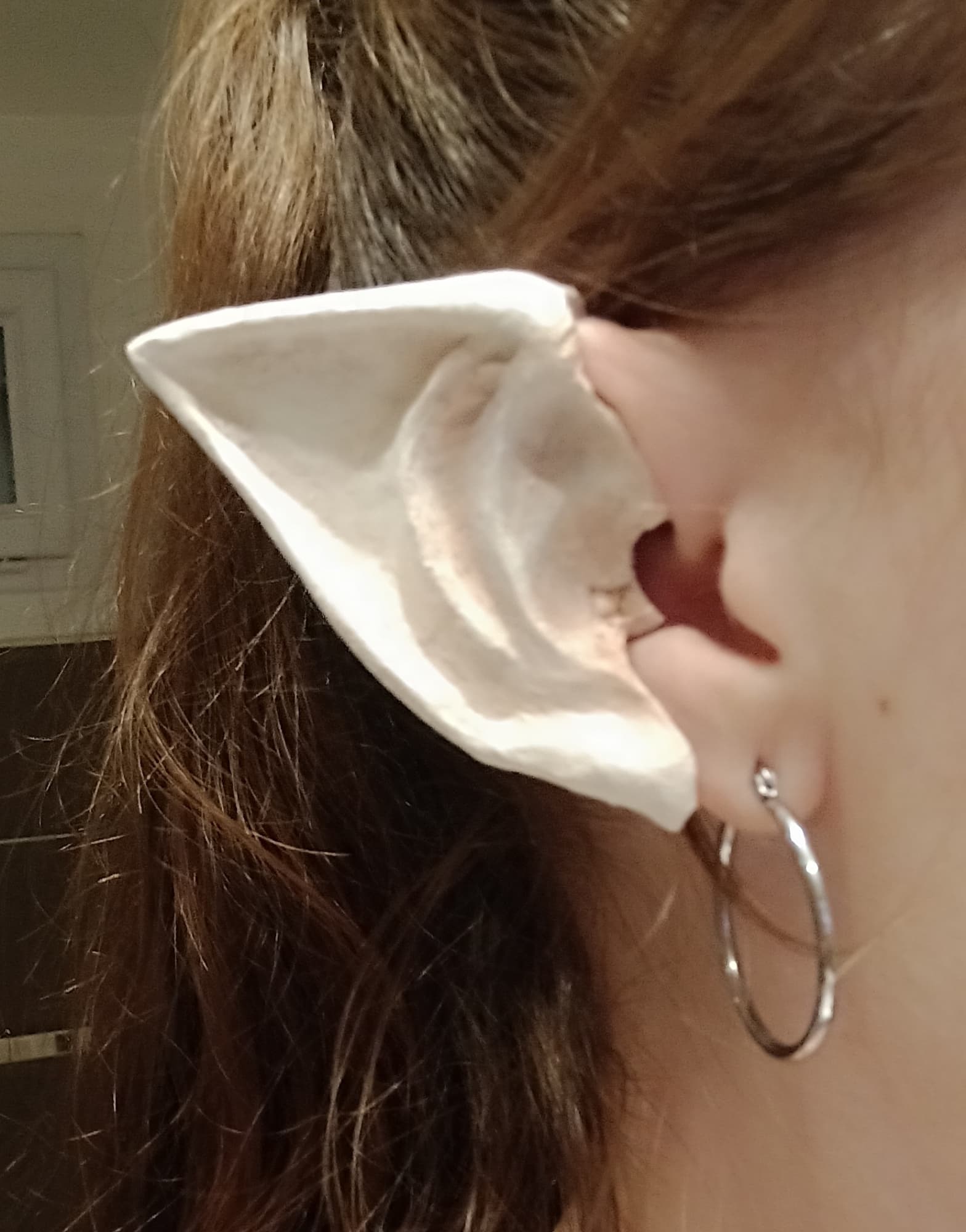 Préparation Edalyn - Photo 30