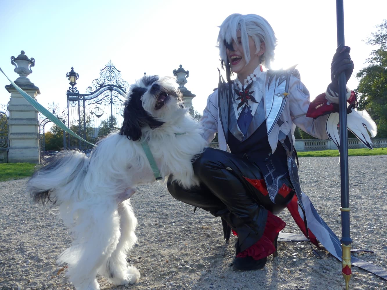 Arlecchino  - Photo 11