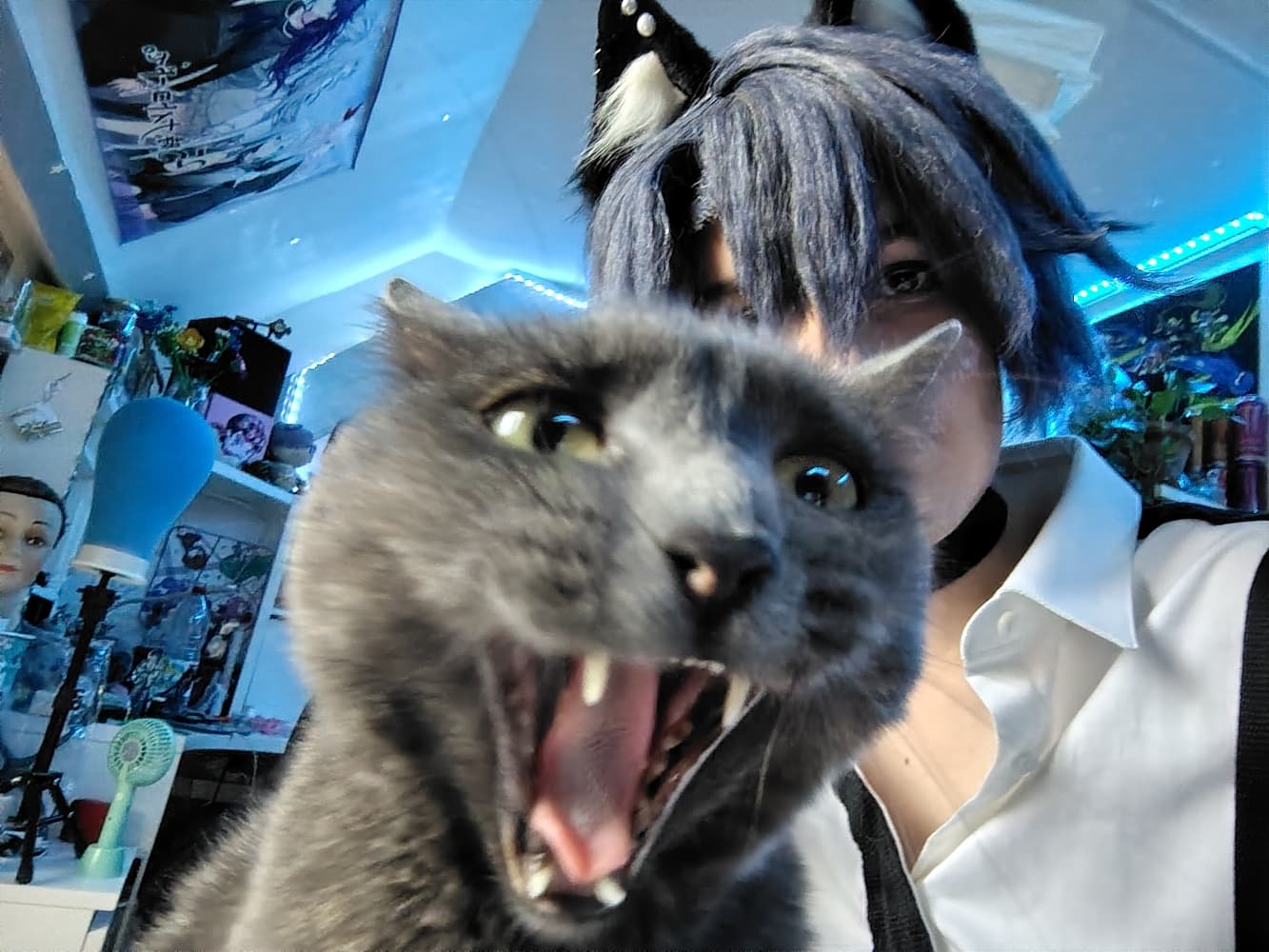 Kazui Mukuhara  - Photo 7