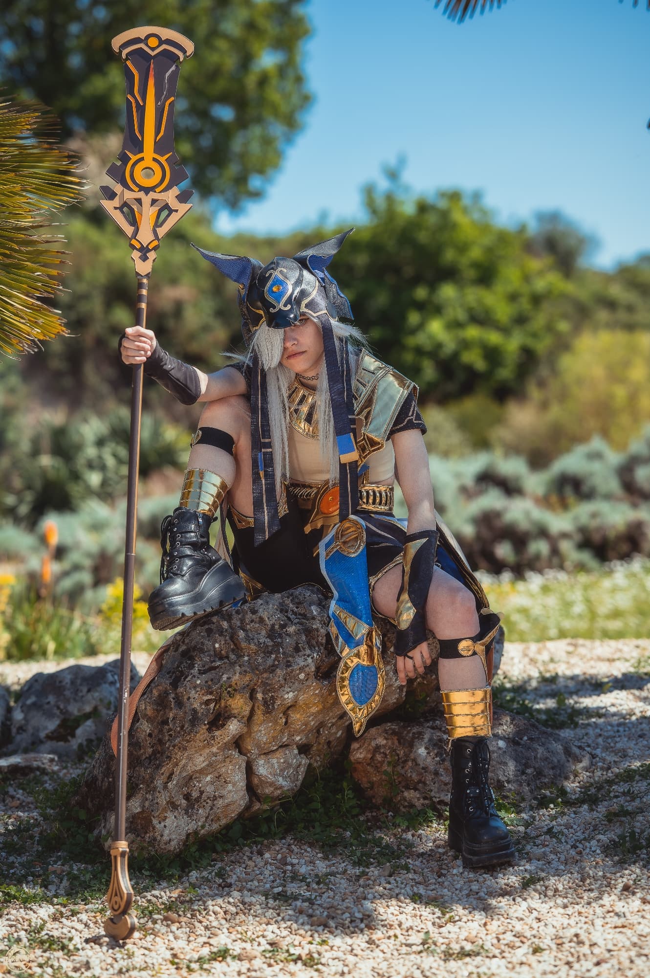 Cyno - Photo 1