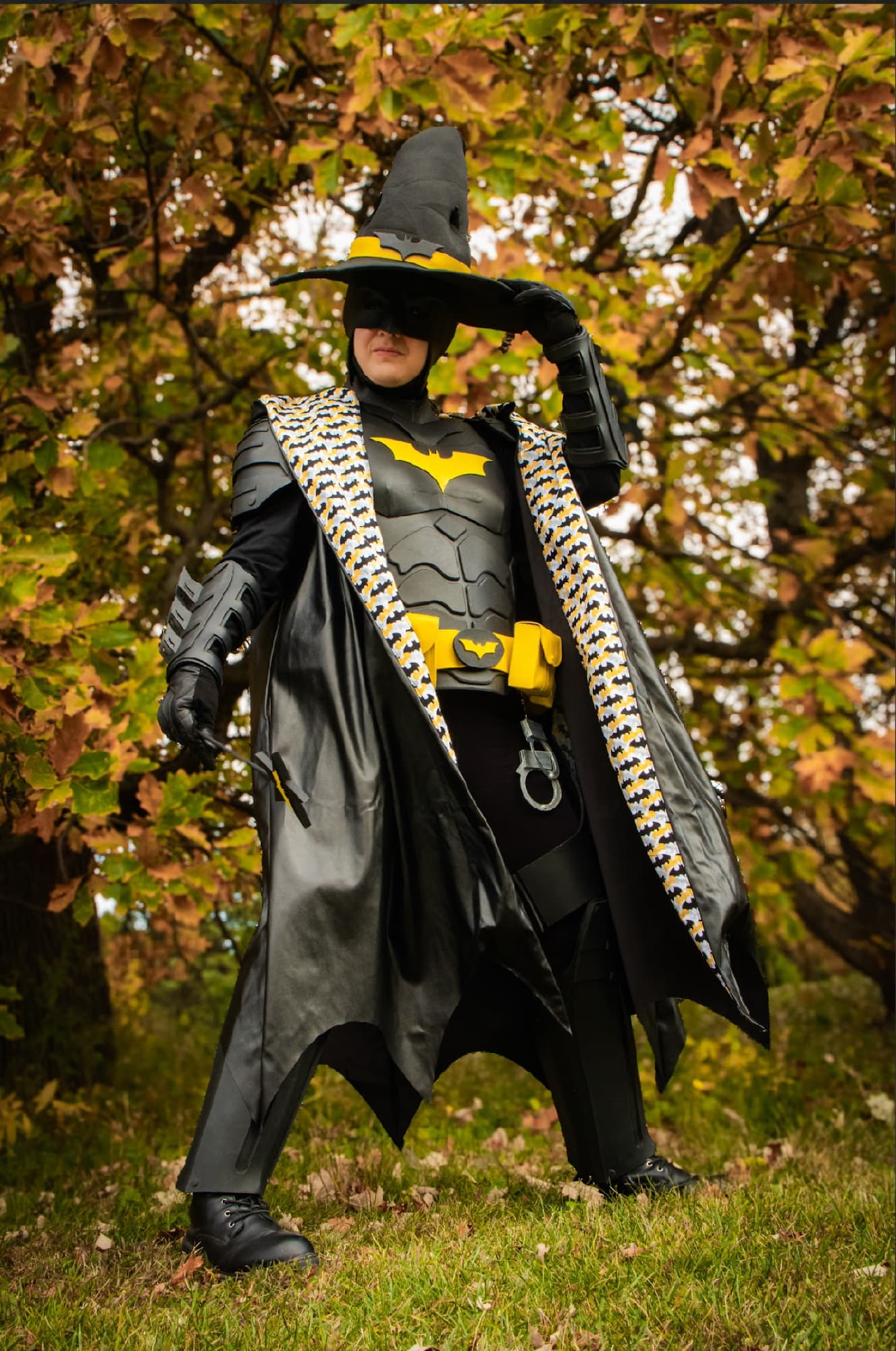 Batman Wizard - Photo 10