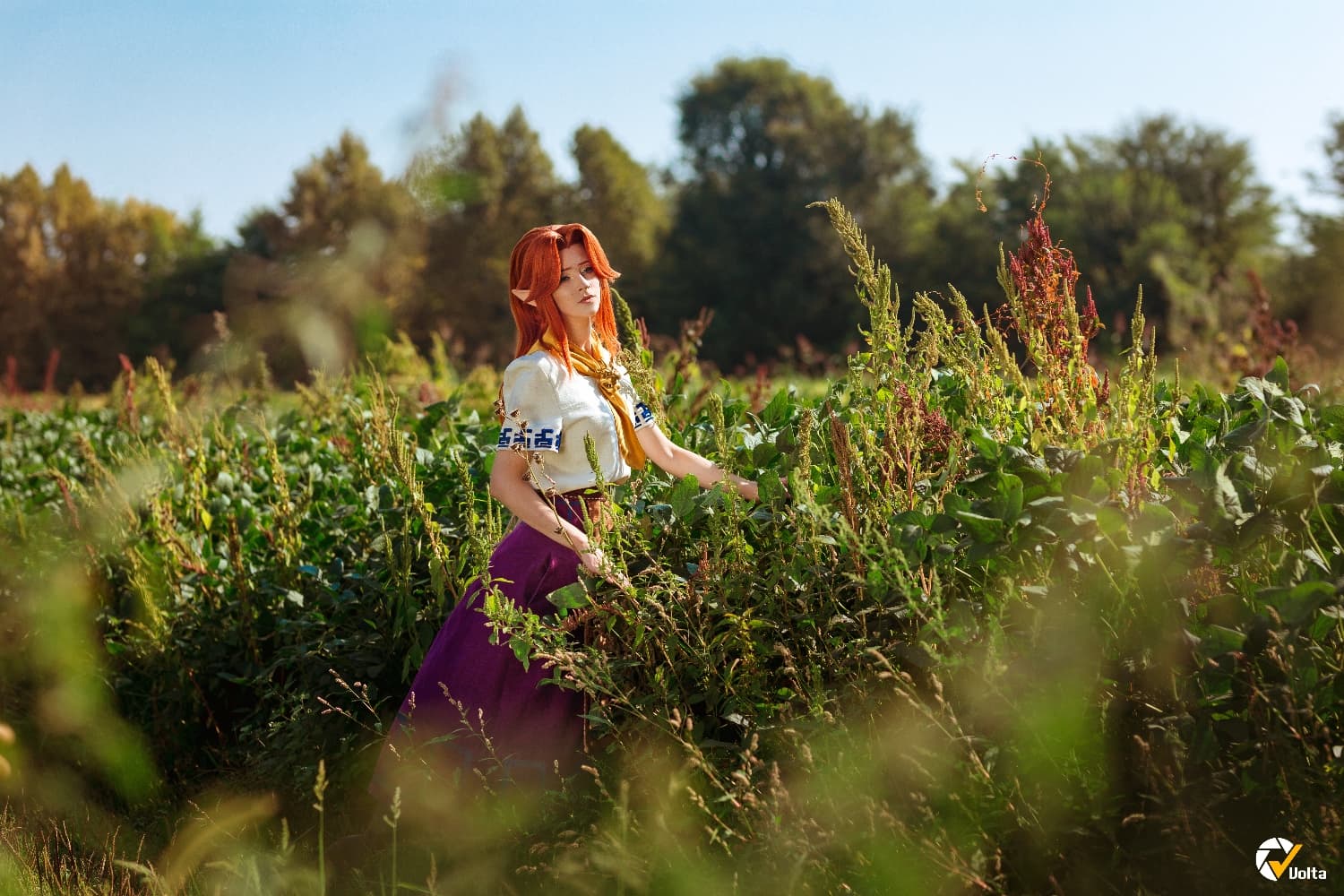 Volta - Malon - Photo 8