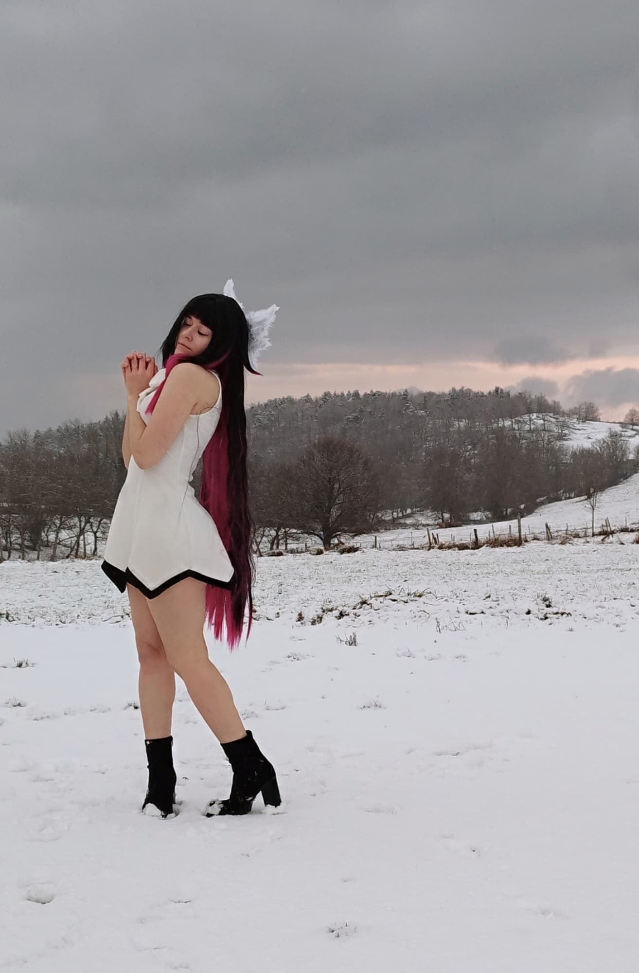 Columbina  - Photo 1