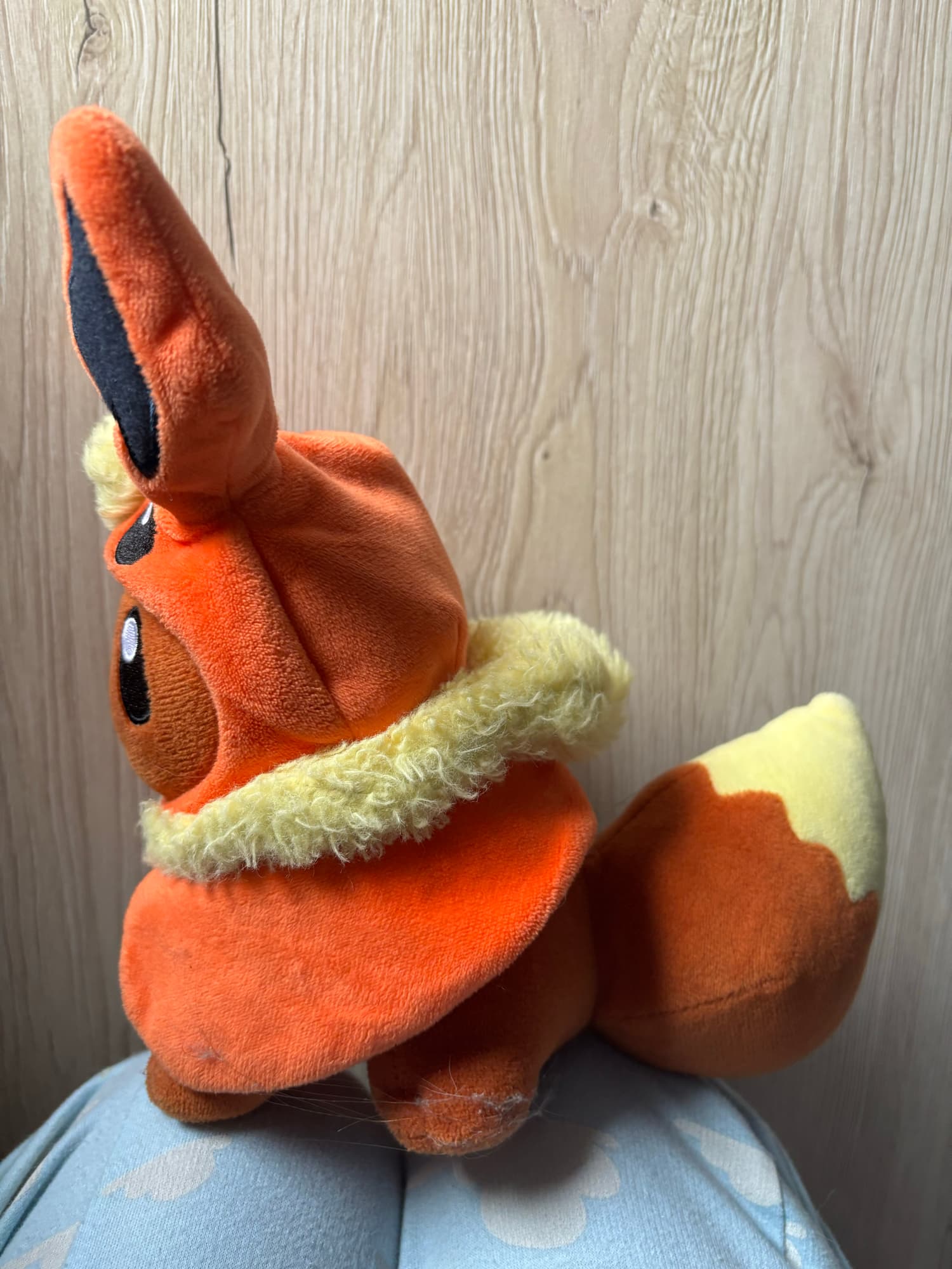 Evoli en Pyroli  - Photo 17