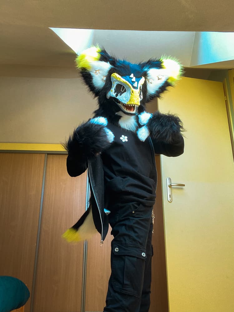 Photos Félix - Photo 6