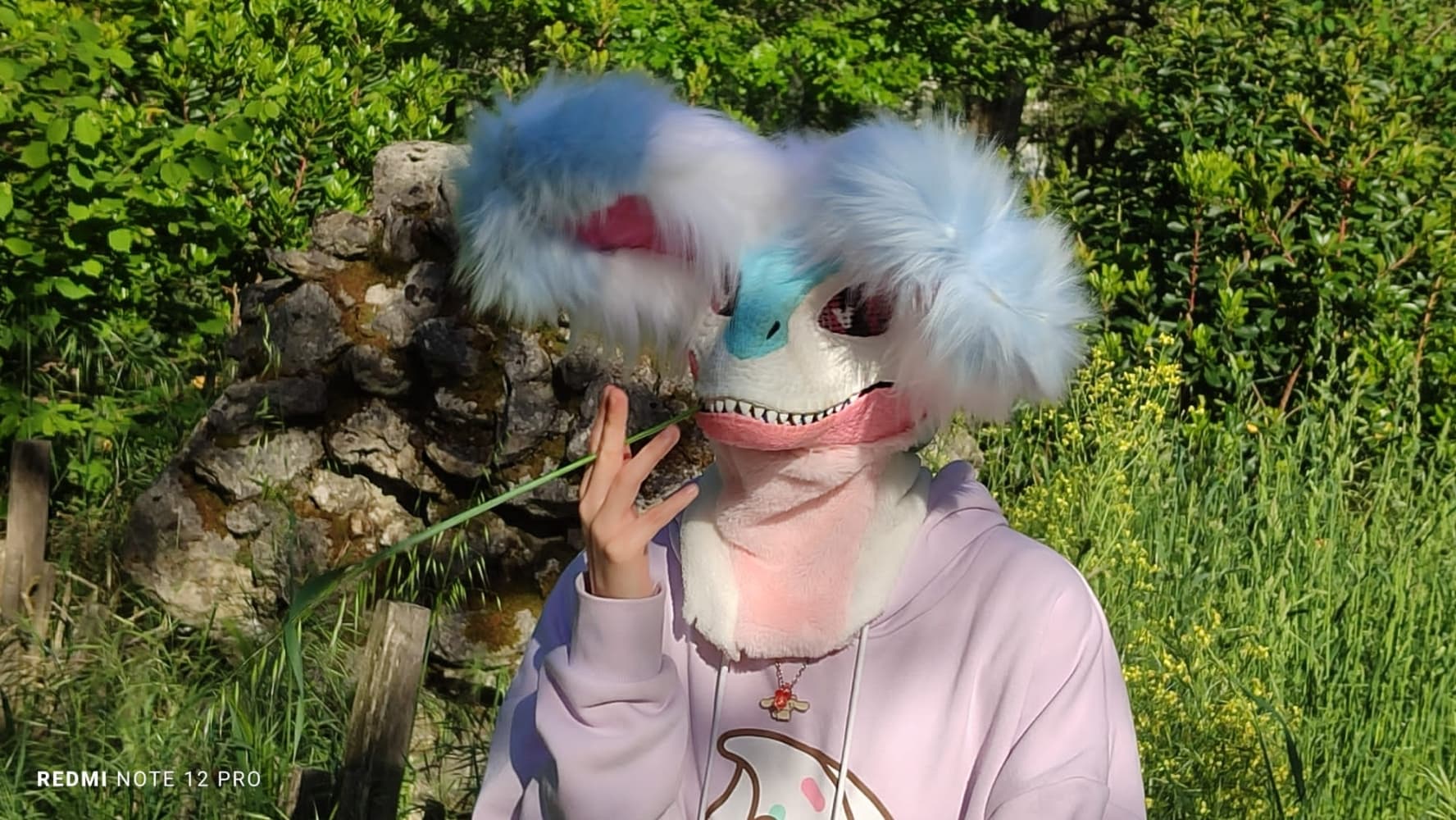 Debut du printemps  - Photo 3