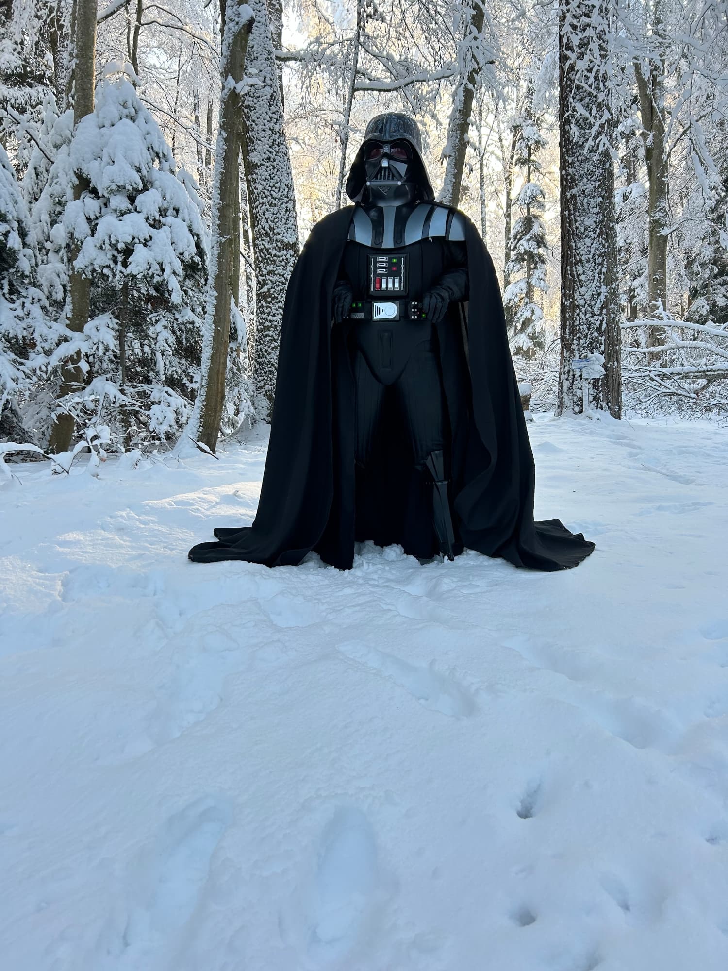 Snow Vader - Photo 5