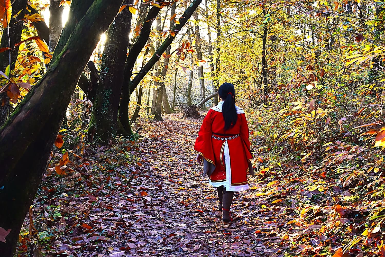 San Lang Forest 2023 - Photo 6