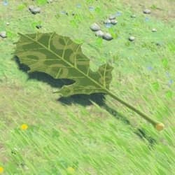 Link (Witch fanart version)