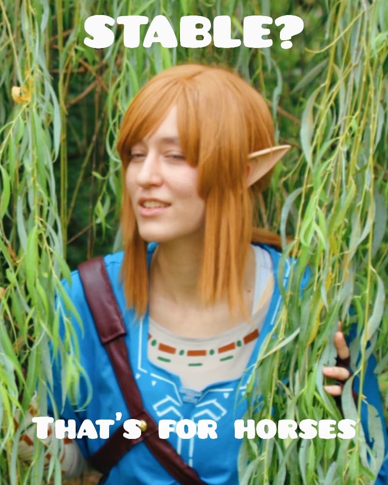 Link (Botw) - Photo 22