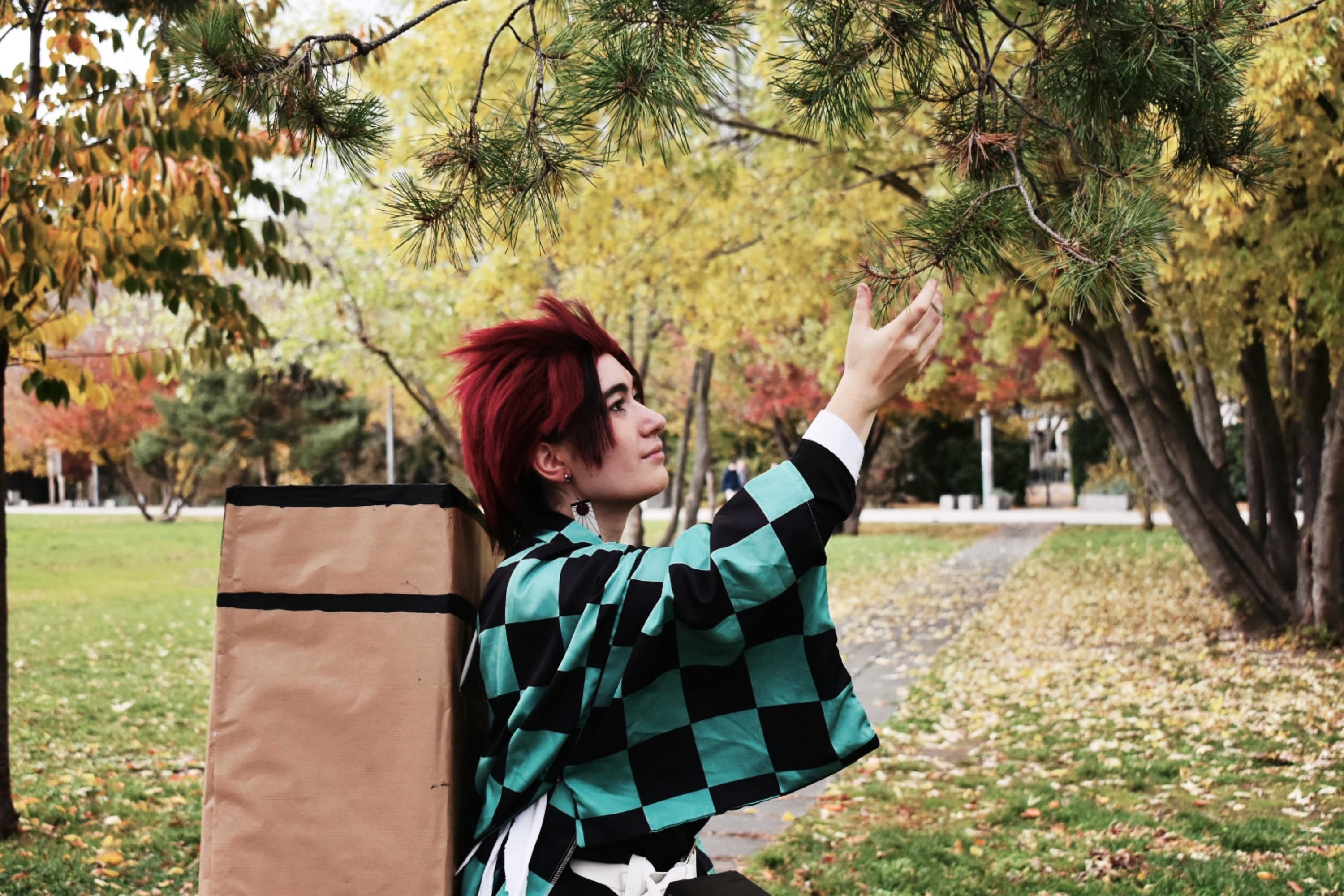 Tanjiro kamado  - Photo 5