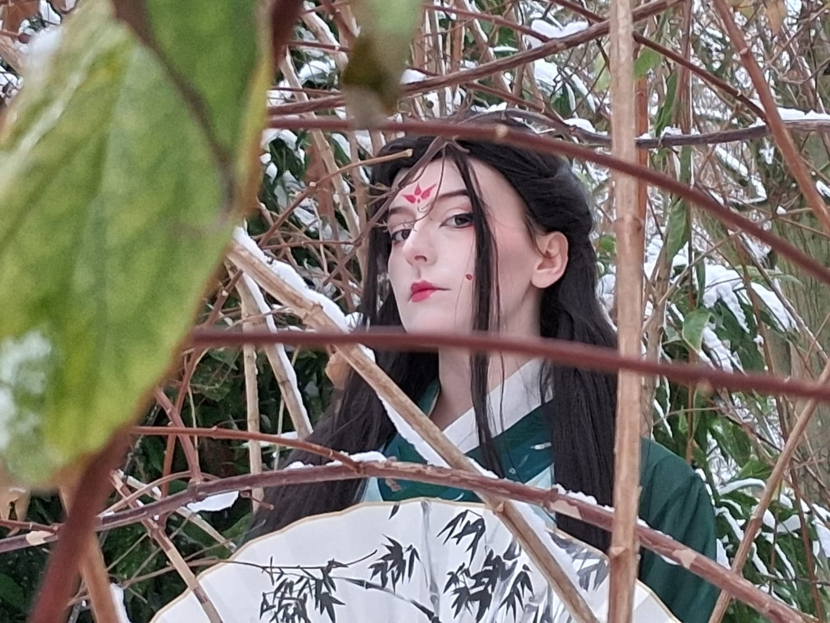 Sous la neige  - Photo 3